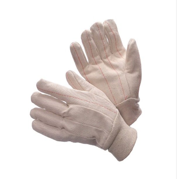 Double Palm Canvas 60-1990